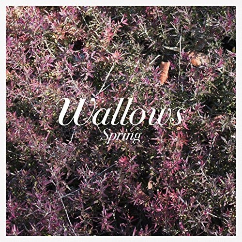 Wallows Spring Colored Vinyl Green Pink Usa Import Lp Vinilo