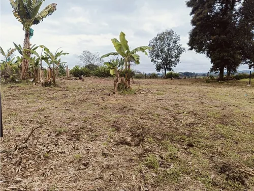 Se Venden Lotes En Quimbaya - Quindío