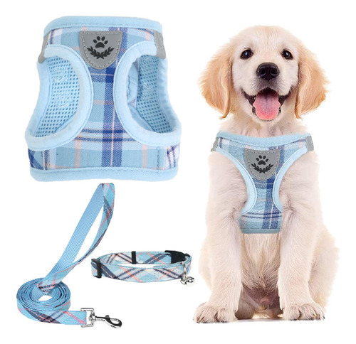 Pupteck Arnés Ajustable Para Perro, Juego De Collar Y Corre