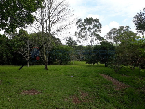 Imagem 7 de 23 de Chácara Para Venda Em São Pedro - Chácaras Abc De São Pedro R$ 490.000,00 - Ch00057 - 69422093