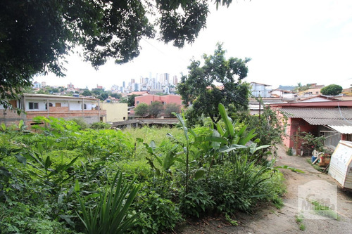 Imagem 3 de 5 de Lote À Venda No Parque São José - Código 259986 - 259986