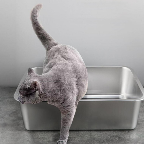 Caixa De Areia Para Gatos De 60 Cm X 40 Cm X 10 Cm