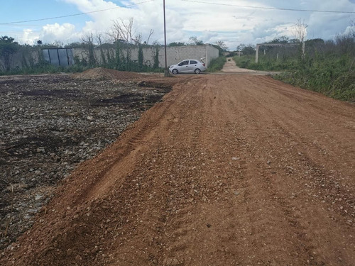 Imagen 3 de 5 de Dzitya Terrenos En Venta Dhara