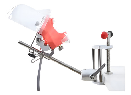 Fantoma Dental Maniquí Con Tipodento Práctica Odontología