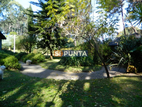 Imagen 14 de 14 de Casa En Venta - Punta Ballena
