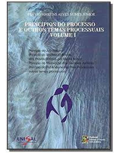 Principios Do Processo E Outros Temas Processuais - Vol.i, De Nunes Jr. Editora Cabral Editora Universitaria, Capa Mole Em Português