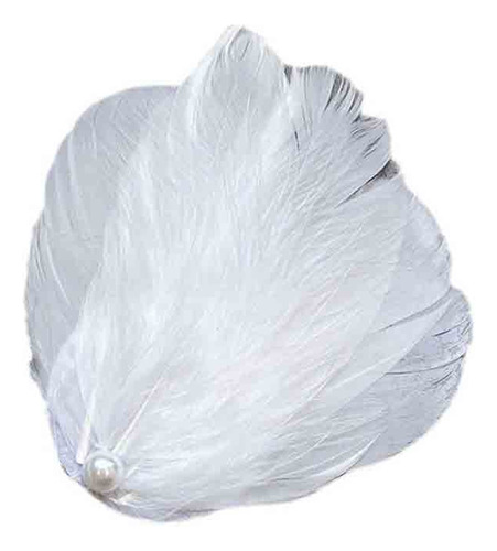 Paquete De Pinzas De Plumas Para Mujer, Estilo P L Swan Fly