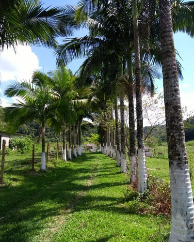 Sitio 30 Alqueires - St00045