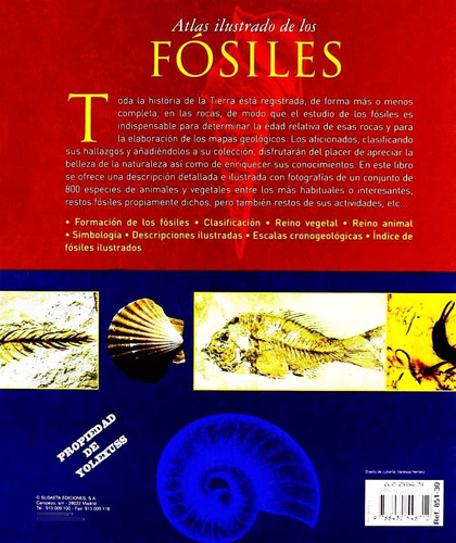 Atlas Ilustrado De Los Fósiles -clasificacion- Descripcion