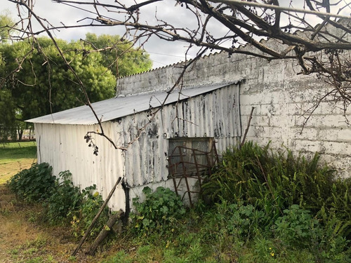 Imagen 20 de 24 de Chacra De 7 Hás Con Hermosa Casa En Inmejorable Ubicación