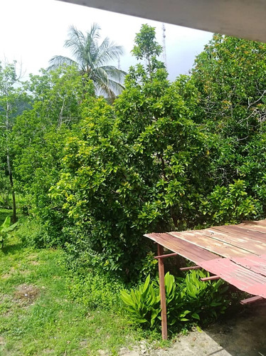 Imagen 14 de 14 de Casa En Venta- Puerto Piritu