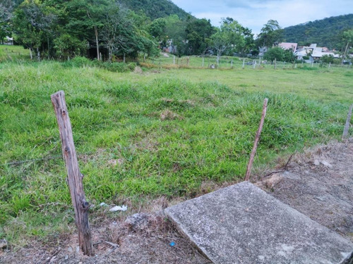 Terreno À Venda, 361 M² Por R$ 135.000,00 - Guarda Do Cubatão - Palhoça/sc - Te0856