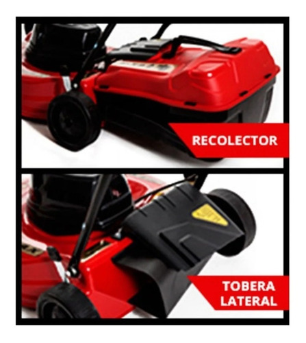 Imagen 5 de 7 de Cortadora De Pasto 3/4 Hp Petri 3005031 5 Alturas Metalica