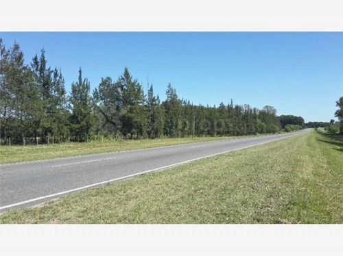 Imagen 4 de 5 de Ruta 39 Km 10 - Pavón - Exaltación De La Cruz