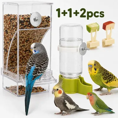 Kit Bebedouro E Comedouro de passaros aves Automático periquito calopsita alimentador coisas acessorios para gaiola de aves comedouro De Sementes Em Acrílico Transparente para canario fim sujeira