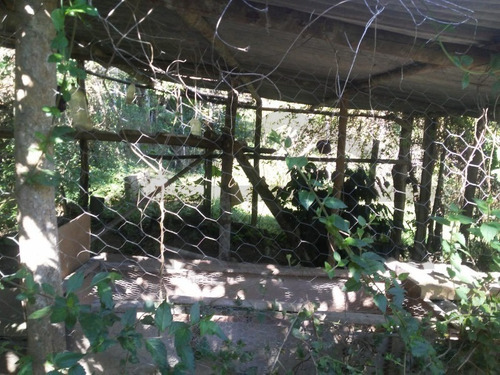Imagem 9 de 23 de Chácara À Venda Em Juquitiba - 317 - 69514098