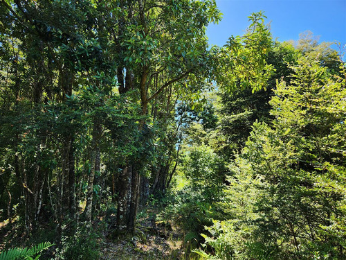 Parcela En Venta En Puerto Varas