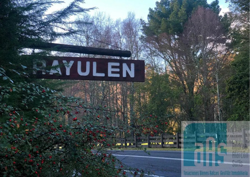 Gran Terreno A Orilla Del Lago Villarrica