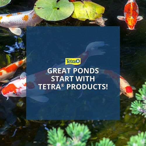 Imagen 6 de 6 de Alimento Tetra Pond Koi Vibrance Para Peces De Lagos Estanques Y Fuentes Como Carpas Koi Y Goldfish En Tarro De 140gr 4,94oz