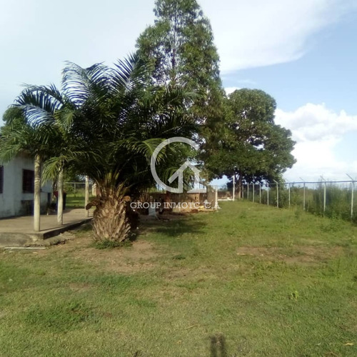 Imagen 3 de 5 de Group Inmotc Vende Terreno Vía Puerto Ordaz/ciudad Bolívar.