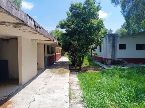 Propiedad En Renta/venta Camino A San Jose De Los Mendoza San Juan De La Vega Celaya