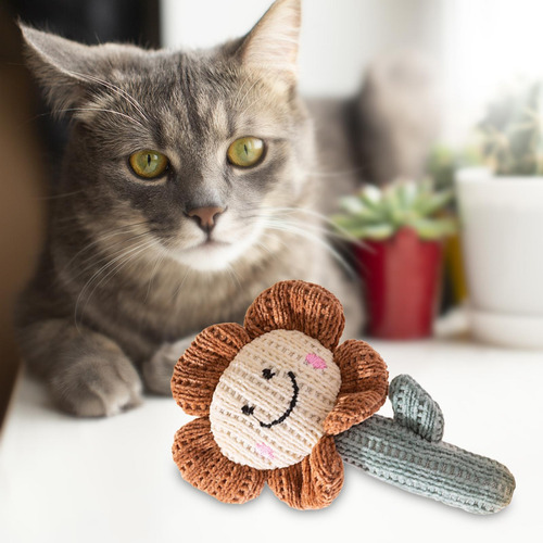 Juguete Para Gatos Con Hierba Gatera, Juguete Suave Para