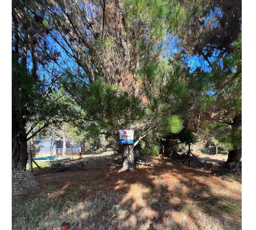Imagen 10 de 10 de Lote En Venta