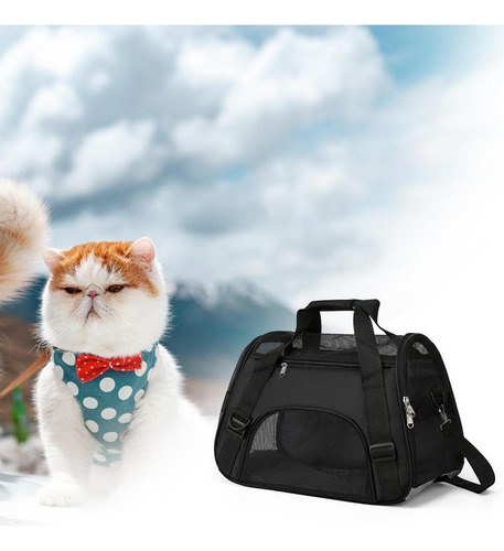 Cortero De Gato Pet Portador Circulación De Aire Negro M
