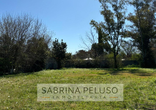Terreno De 952 Mts2 En Venta En General Rodriguez