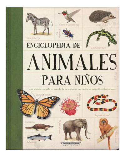 Libro Enciclopedia De Animales Para Niños