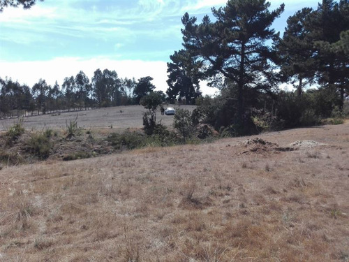 Sitio En Algarrobo!bajo El Valor De Tasación, Ofertón!