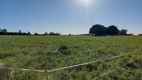 Vendo Excelente Terreno Tipo Chacra De 5,6 Has