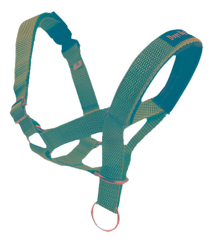 Perro Cabeza Cuello Halter Azul 5 Tamaños