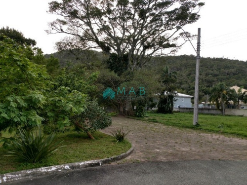 Terreno Amplo À Venda Em Ótima Localização Na Cachoeira Do Bom Jesus - Florianópolis Sc! - Te00068 - 69298185