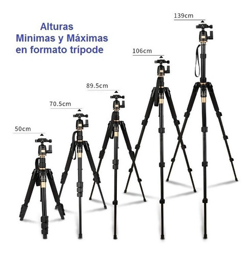 Imagen 3 de 9 de Tripode Monopie Compacto Fotografia Cenital Cabezal Q555