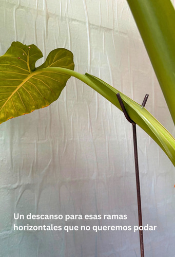 Horquilla Soporte Para Plantas Y Ramas De Jardin 60 Cm X3 Sin Pintar