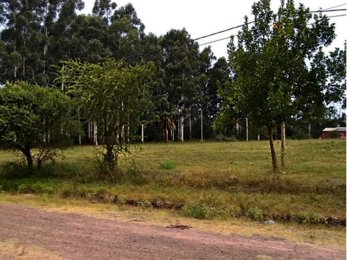 Imagen 2 de 11 de Vendo Terreno Lote Para Casa Cabañas Centro De Colón E Rios