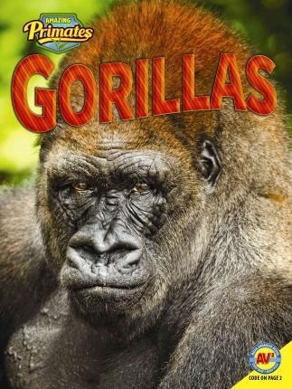 Gorillas - Pamela Mcdowell