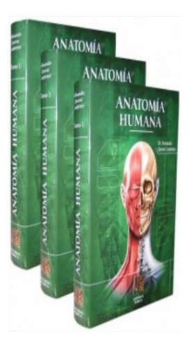 Anatomía Humana Quiroz