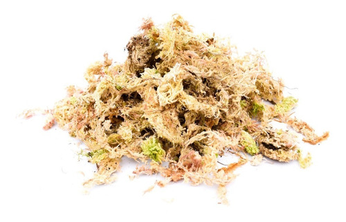 Musgo Sphagnum Blanco Sustrato Orquídea Plantas Carnívoras