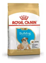 Comprar Royal Canin Bulldog Ingles Puppy Cachorro 3 Kg