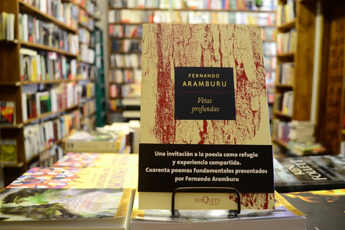 Vetas Profundas. Fernando Aramburu.