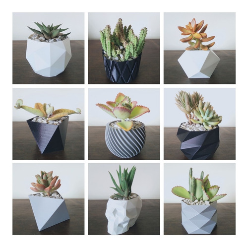 Imagen 1 de 10 de Materos Porrones Decorativo Modernos Para Suculentas Cactus