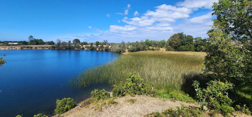 Venta Terreno-sitio  Sector Rulo En Calbuco