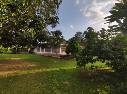 Imagen 16 de 25 de Espectacular Finca En Bejuma Alto De Reyes Carabobo Jc-lp