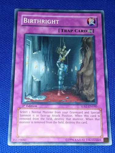 birthright yugioh card Yu-Gi-Oh! - - YSKR-EN047 - Common - Unlimited Edition 0 Defense Birthright | Yu-Gi-Oh! Wiki |