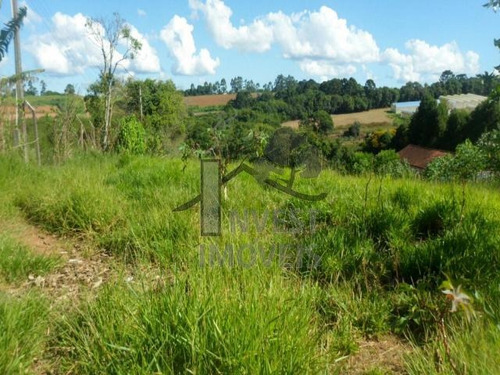 Imagem 4 de 4 de Cód 2644 - Terreno Com 3.800m² De Frente Para O Asfalto!! - 2644