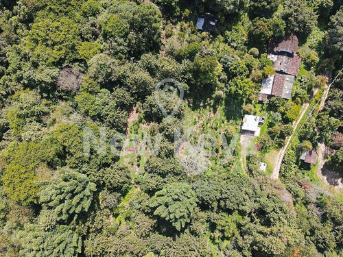 Imagen 2 de 4 de Venta De Terreno En Coatepec Veracruz