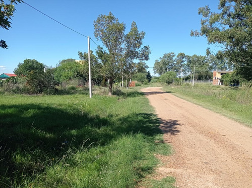 Imagen 4 de 6 de Terreno - Gualeguaychu