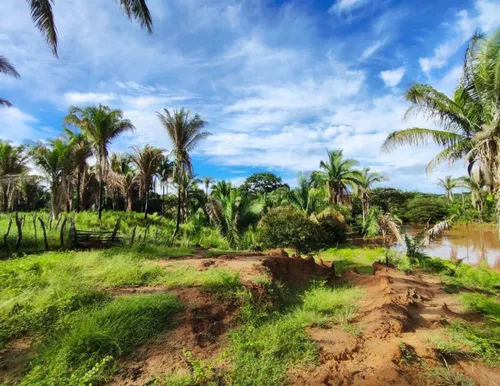 Terreno 61 Hectares Escriturado,à 23km Da Cidade-amarante Pi
